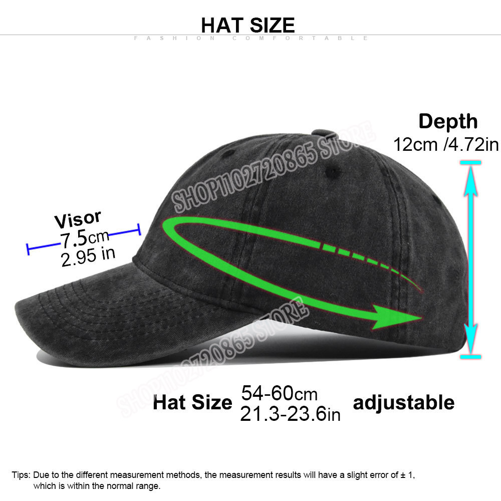 BT21 Cap Wash Distressed Hat C - Tippet Line 리뷰 및 가격