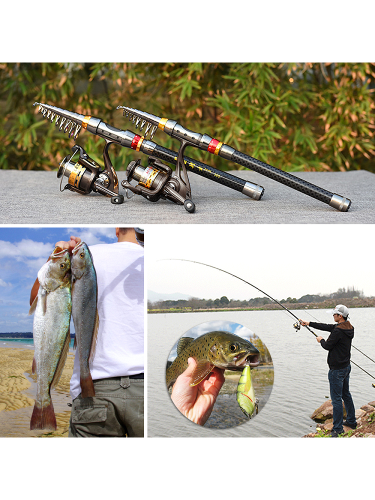 Fishing Rod Spinning Reel Comb - Freshwater Line 리뷰 및 가격
