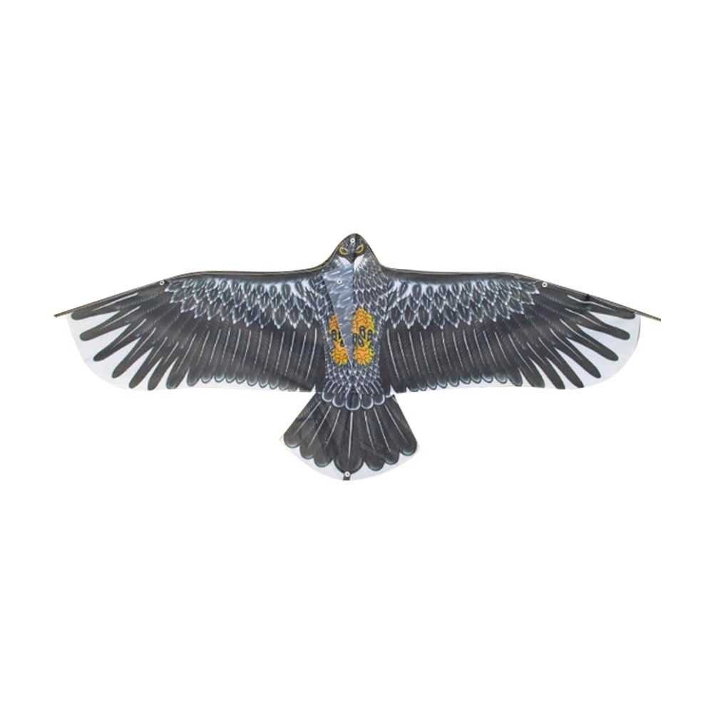 1.1m Eagle Kite With 30m Kite  - Fly Line 리뷰 및 가격